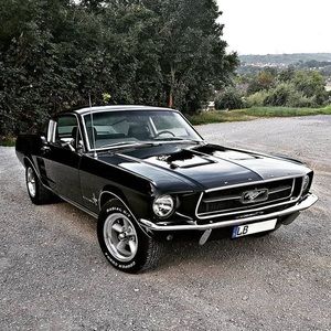 Meet your Posher, Fredrick